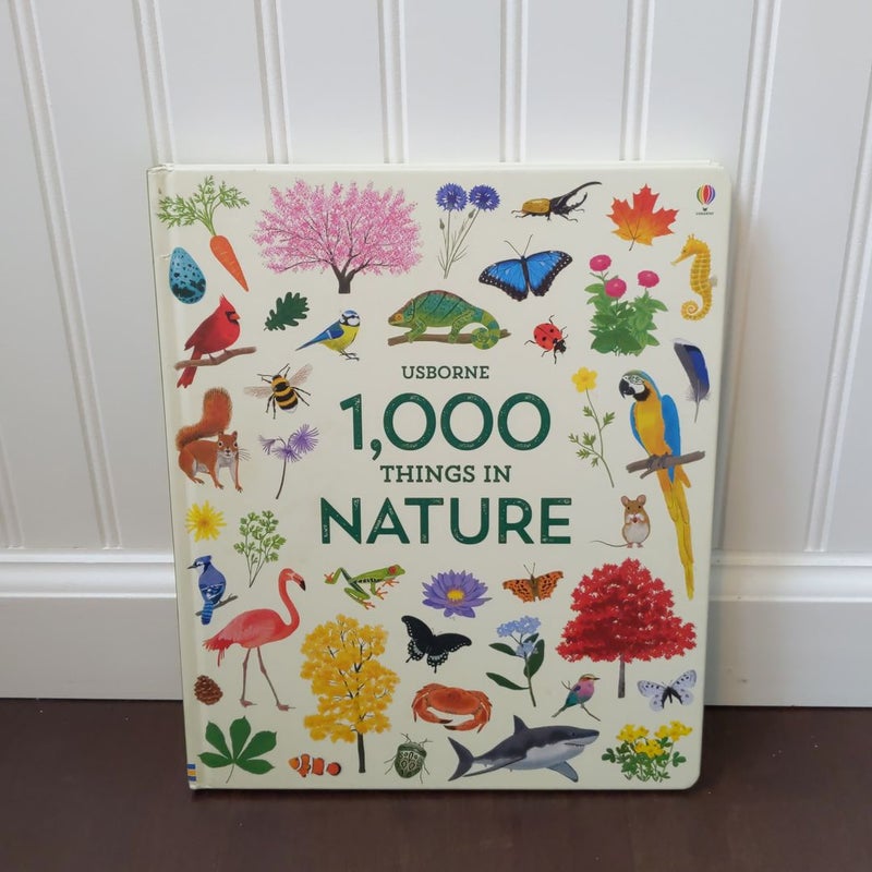 Usborne 1,000 Things in Nature