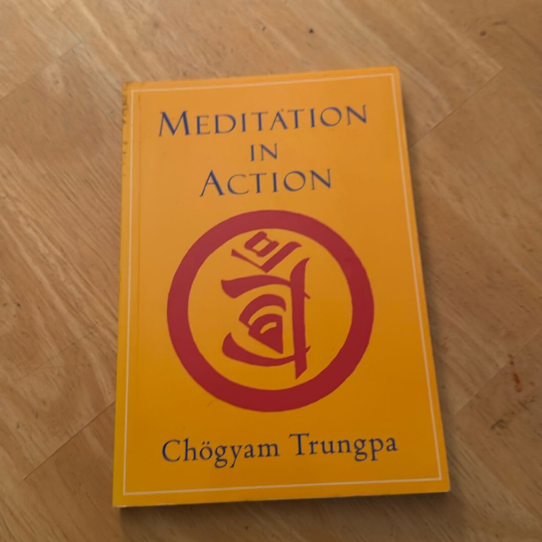 Meditation in Action