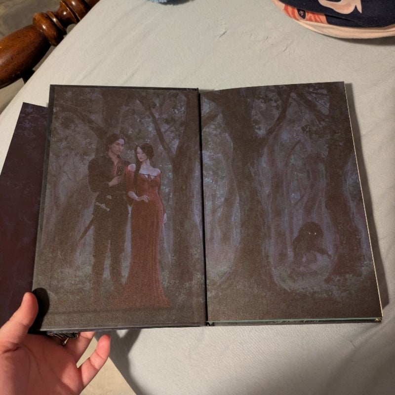 One Dark Window Fairyloot Edition