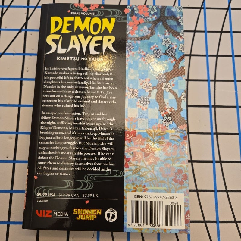 Demon Slayer: Kimetsu No Yaiba, Vol. 23