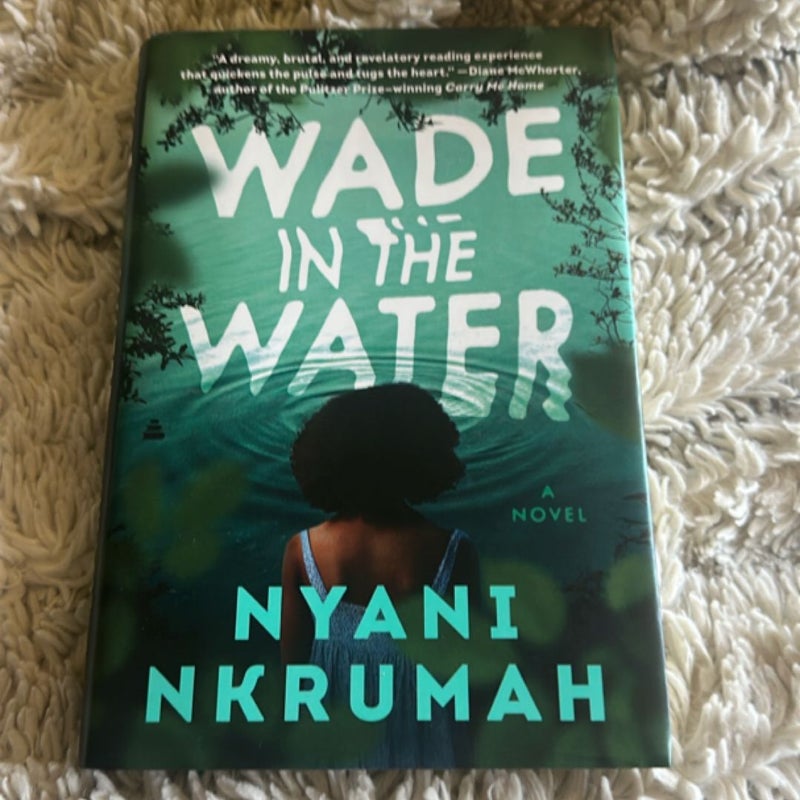 Wade in the Water