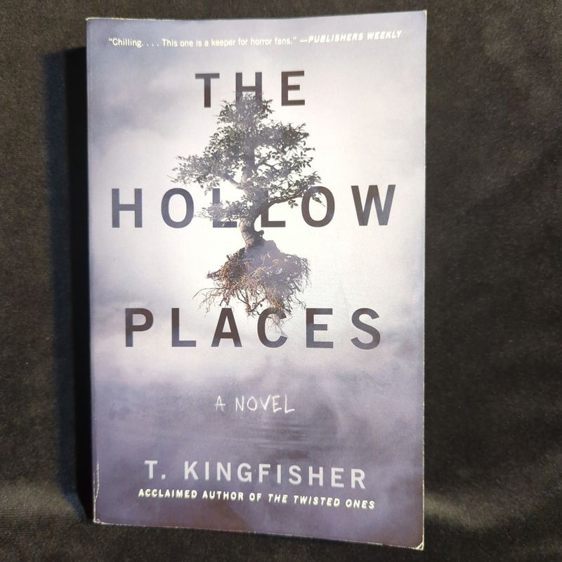 The Hollow Places