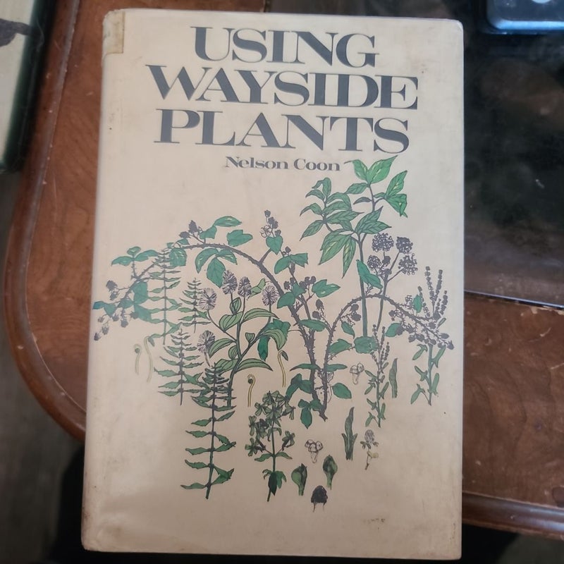 Using Wayside Plants