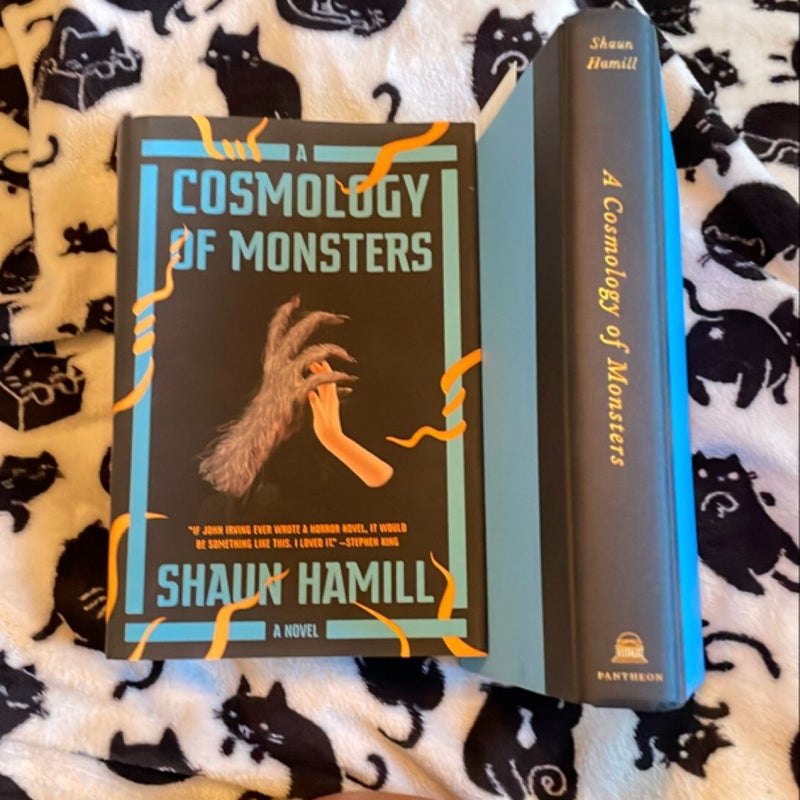 A Cosmology of Monsters