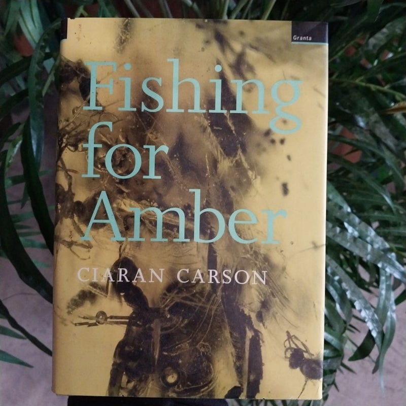 Fishing for Amber