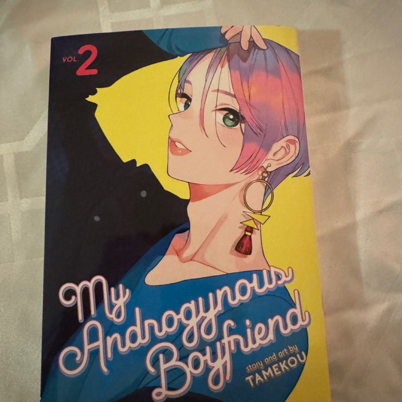 My Androgynous Boyfriend Vol. 2