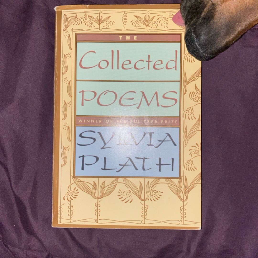 Sale image for ee894082-b5ed-4864-824d-76df4ce07a9c-utOllHBKL9eXzewbF6tCtiwCq2g1