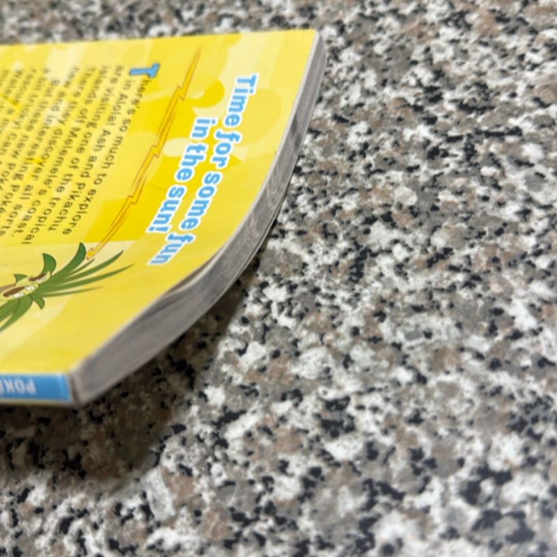 Adventure on Treasure Island (Pokémon Alola Chapter Book)