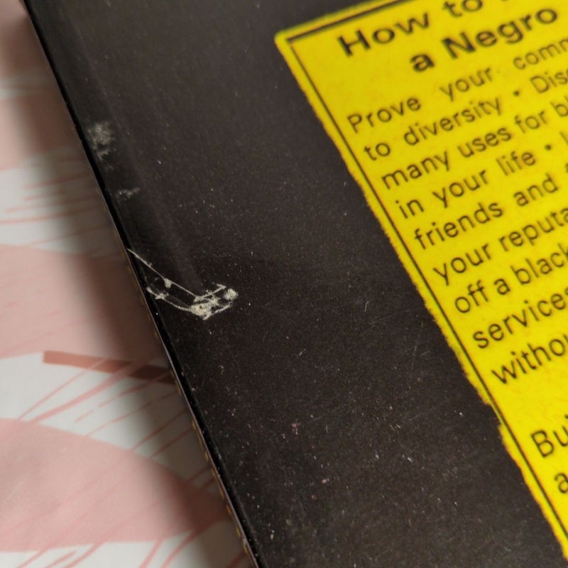 How to Rent a Negro