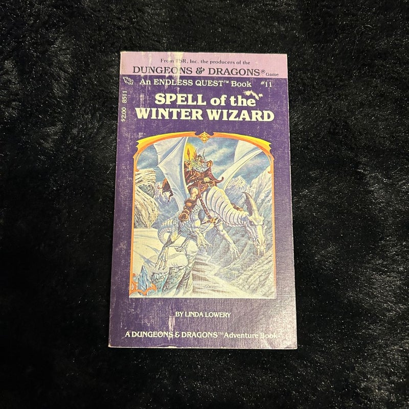 Dungeons & Dragons Endless Quest 11 Spell of the Winter Wizard 1983 1st Printing