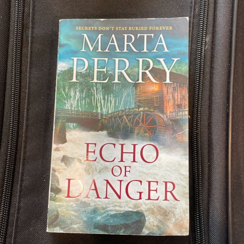 Echo of Danger
