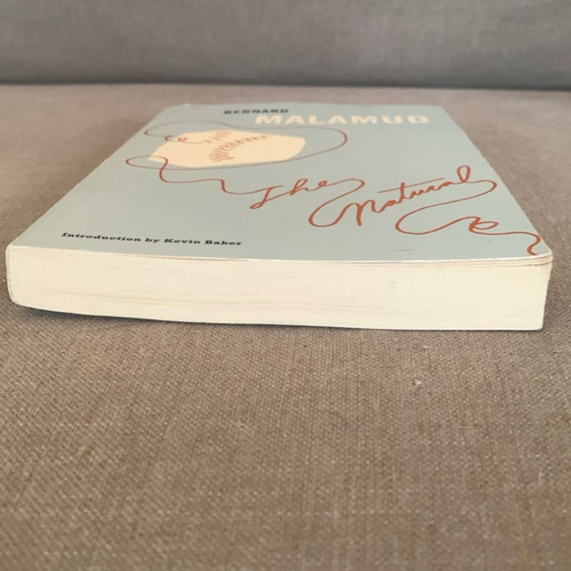 THE NATURAL- Trade Paperback