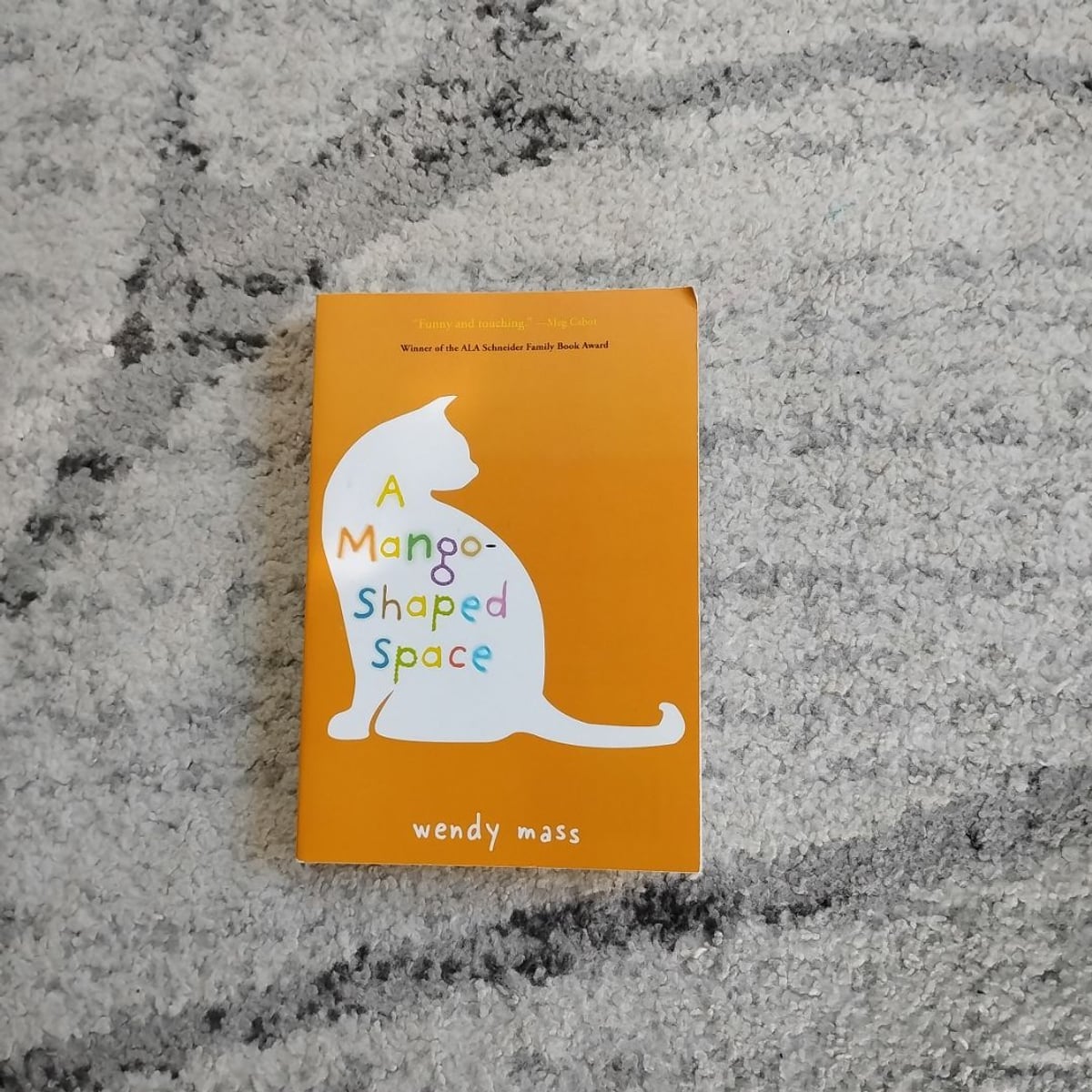 A Mango-Shaped Space by Wendy Mass