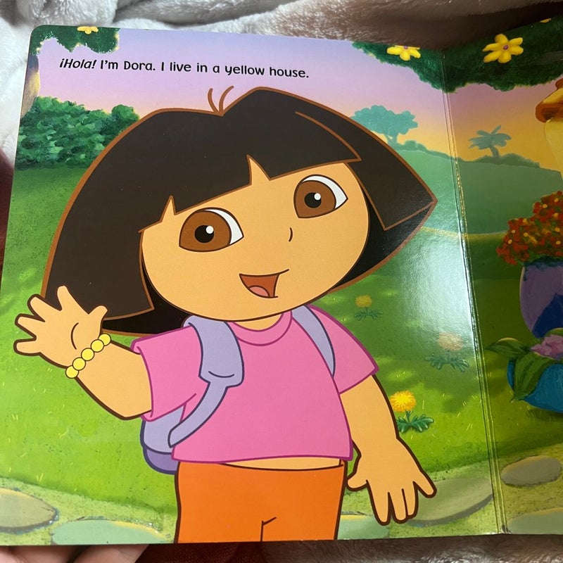 Dora's Color Adventure!