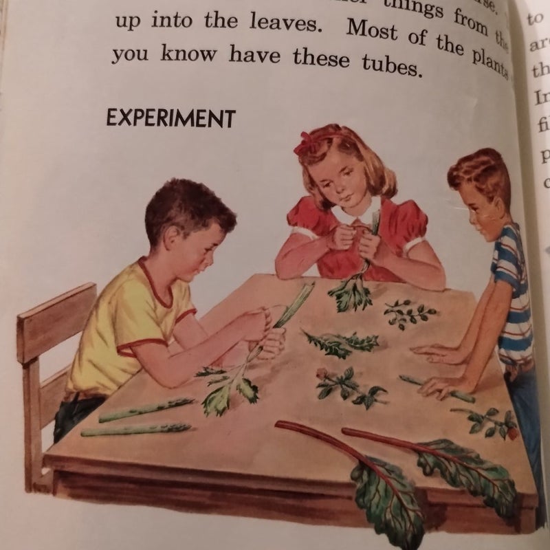 📚✏️ "Science Far And Near" Grade 3 Textbook 1959