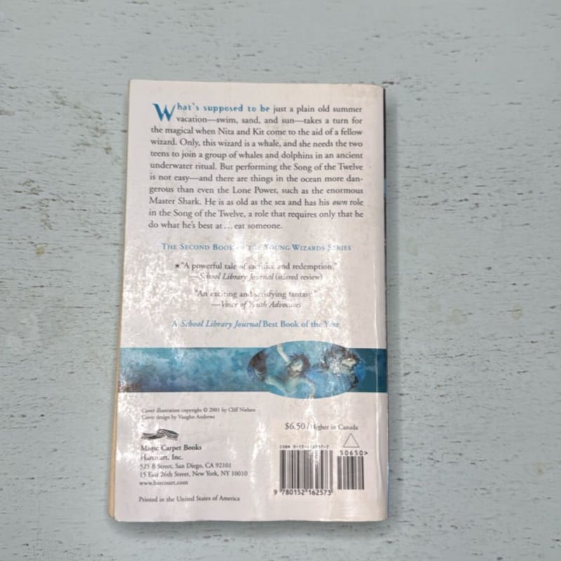 Deep Wizardry by Diane Duane, Paperback | Pangobooks