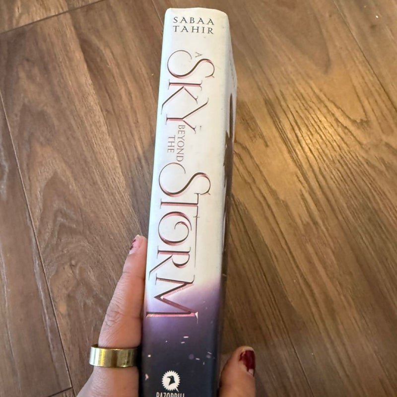 A Sky Beyond the Storm