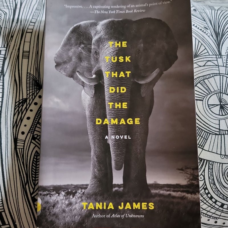 The Tusk That Did the Damage