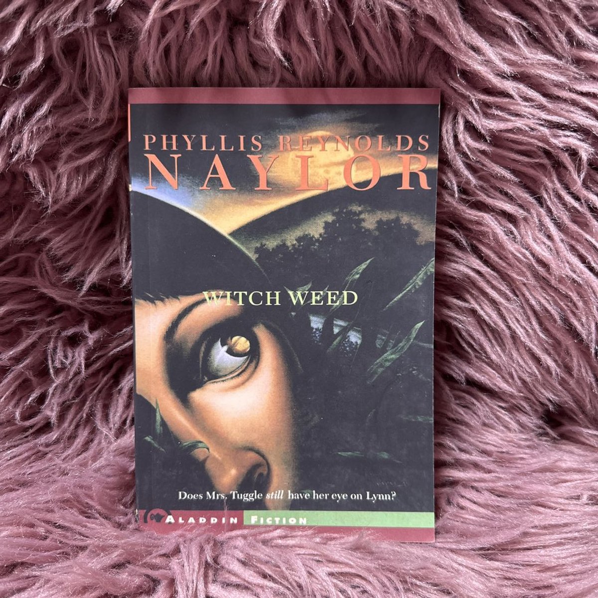 Witch Weed by Phyllis Reynolds Naylor