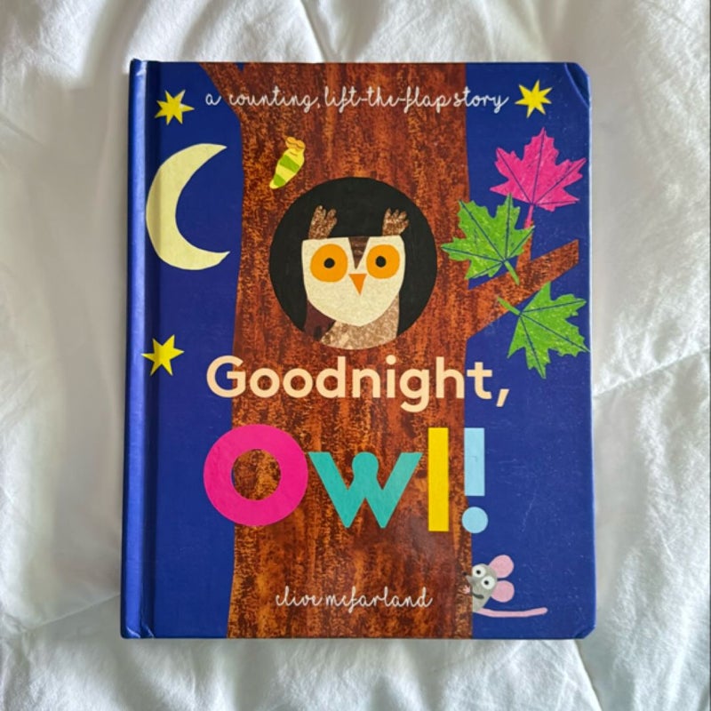 Goodnight, Owl!