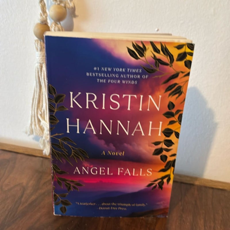 Kristin Hannah Book Bundle