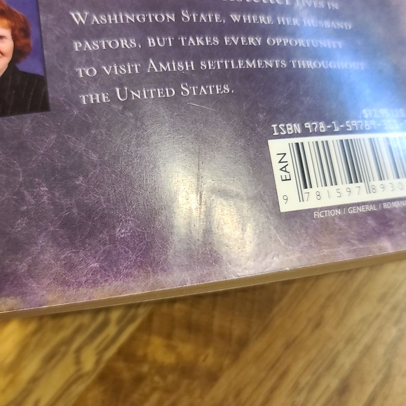 The Hope Chest by Wanda E. Brunstetter, Paperback Pangobooks