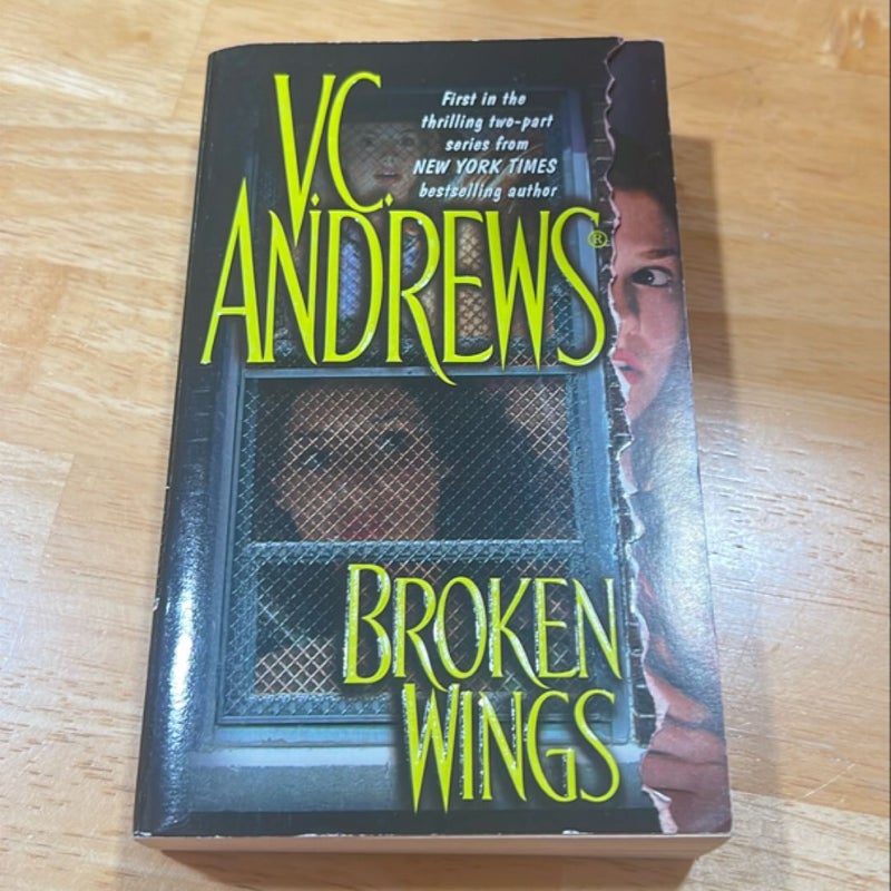 Broken Wings