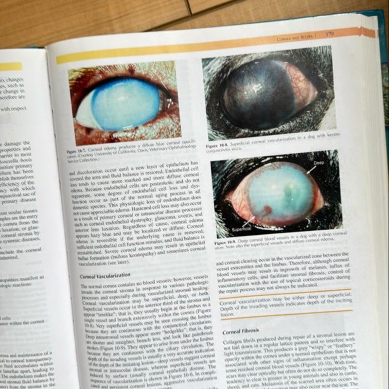 Slatter's Fundamentals of Veterinary Ophthalmology