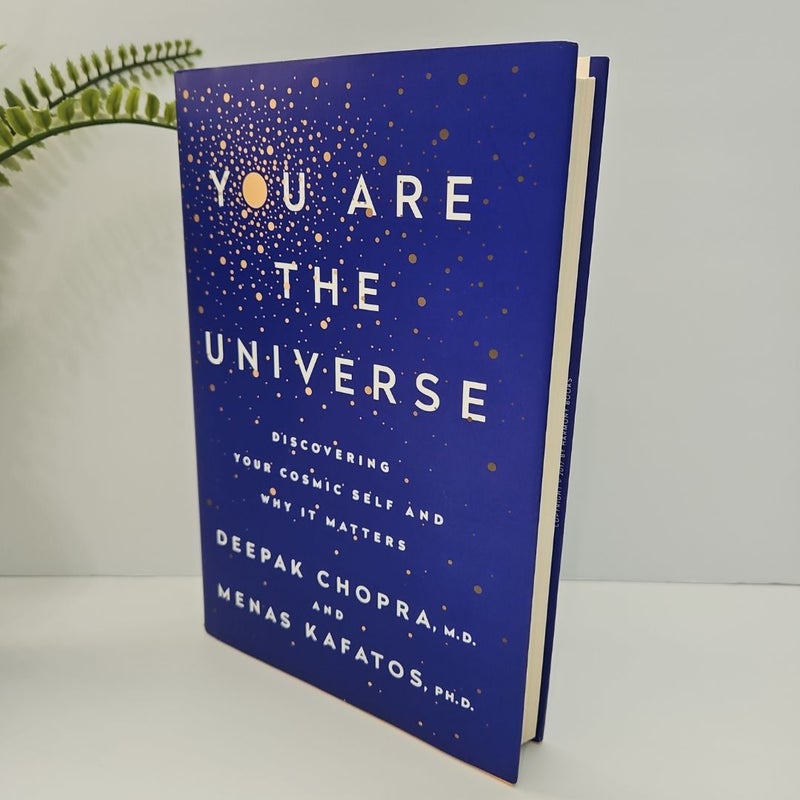 You Are the Universe