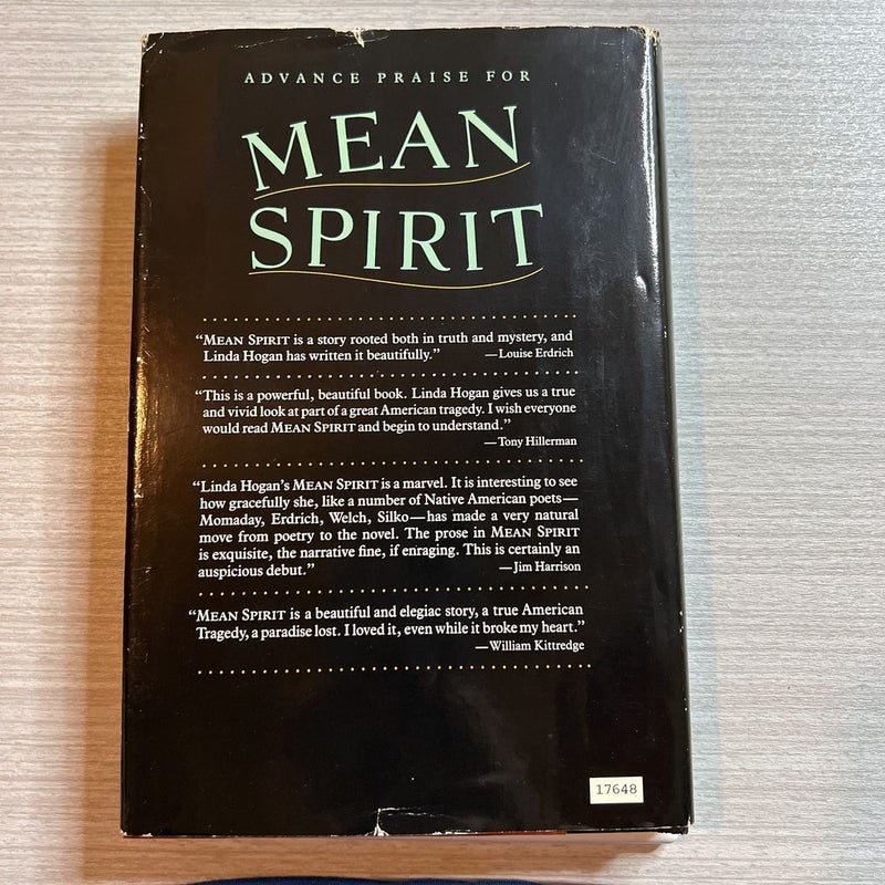 Mean Spirit