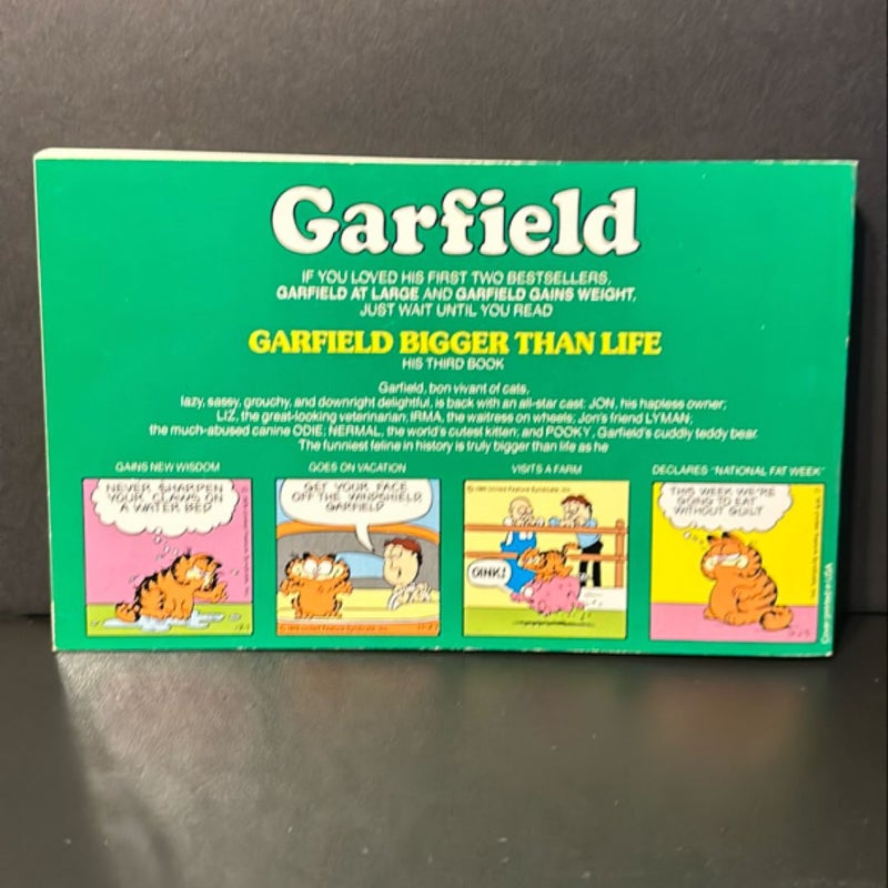 Garfield Bigger Than Life