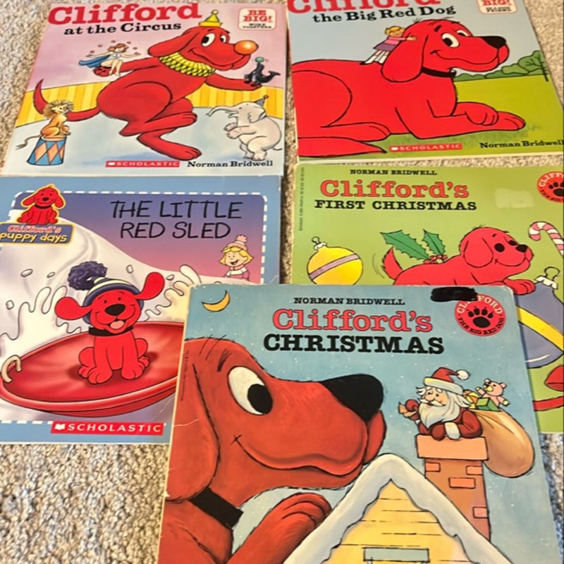 Clifford Bundle