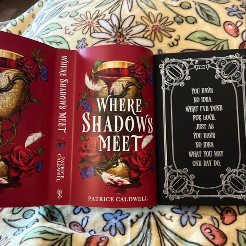Where Shadows Meet