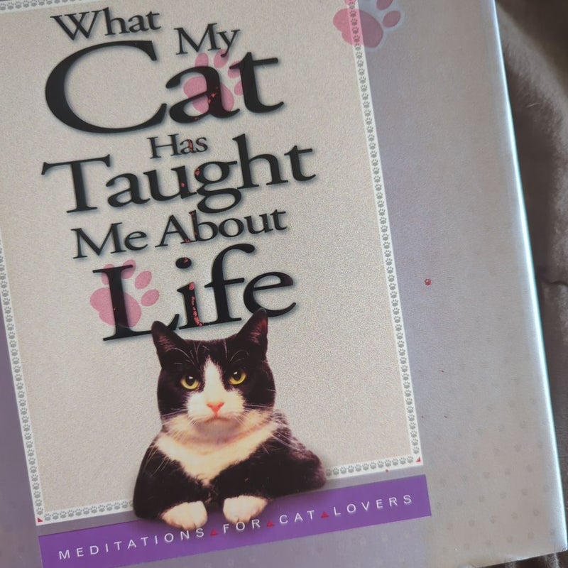 What My Cat Has Taught Me about Life