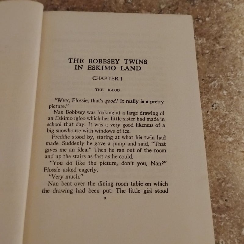 The Bobbsey Twins in Eskimo Land 