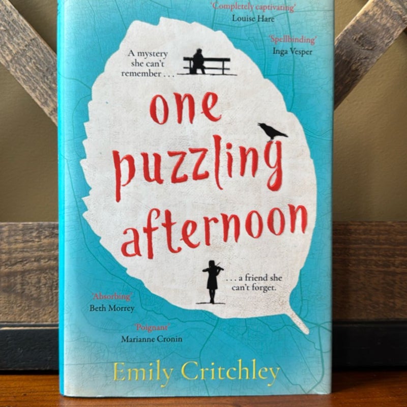 One Puzzling Afternoon