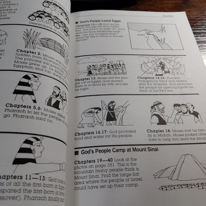 What the Bible Is All about Handbook for Kids