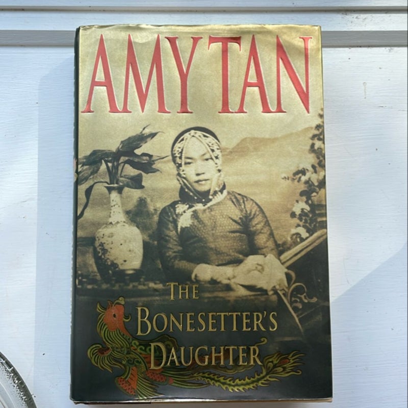 The Bonesetter's Daughter