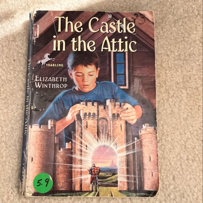 The Castle in the Attic