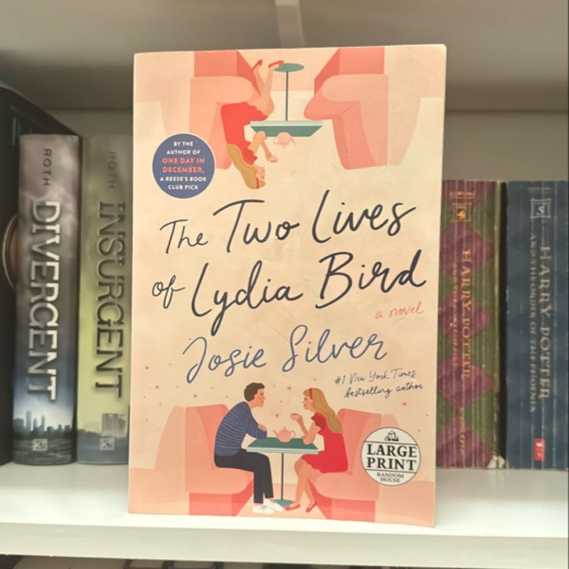 The Two Lives of Lydia Bird (large print)