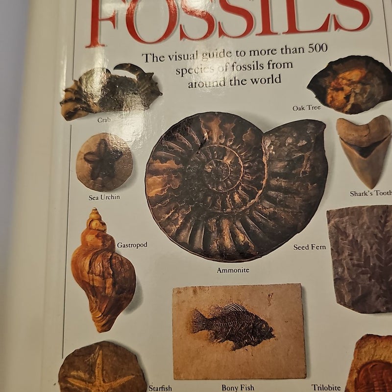 Fossils