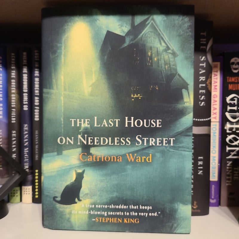 The Last House on Needless Street