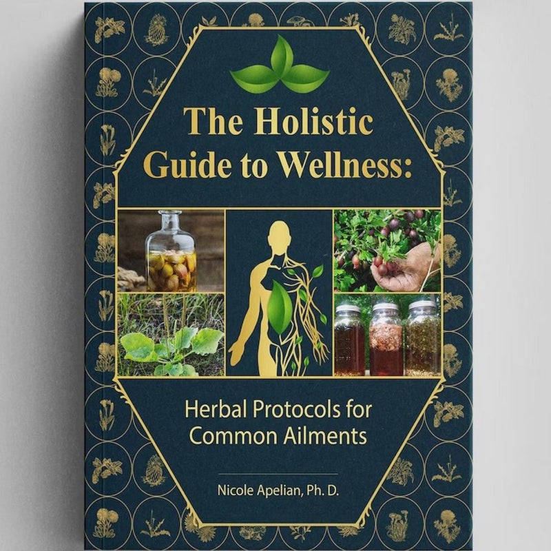 The Holistic Guide to Wellness