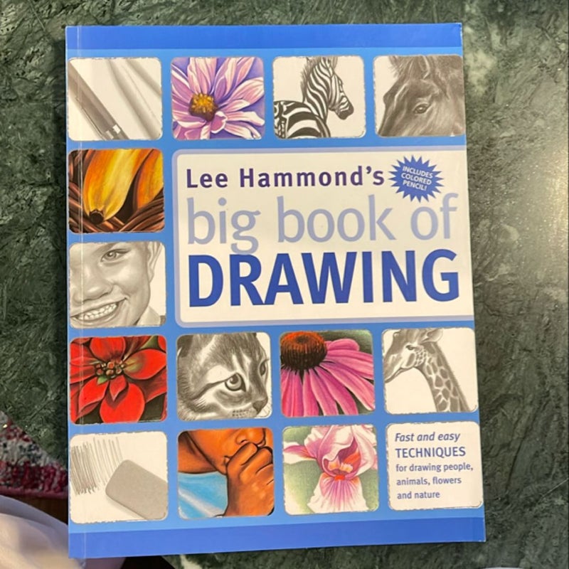 Big Book of Drawing