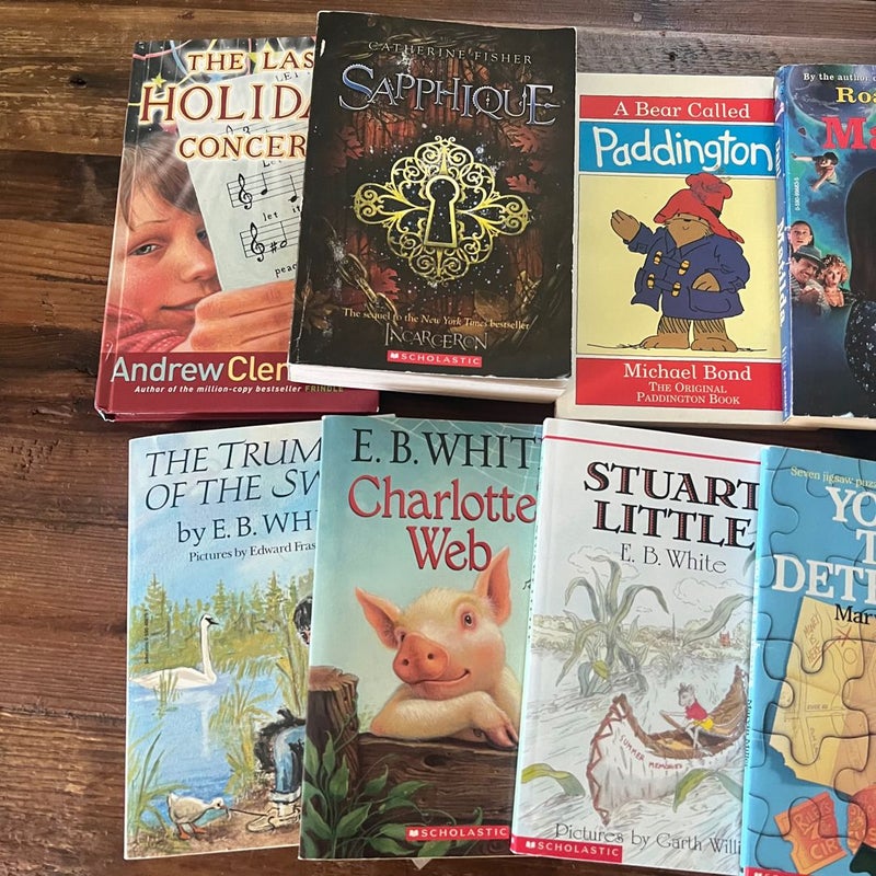 MATILDA - bundle of 10 middle school juvenile fiction chapter books