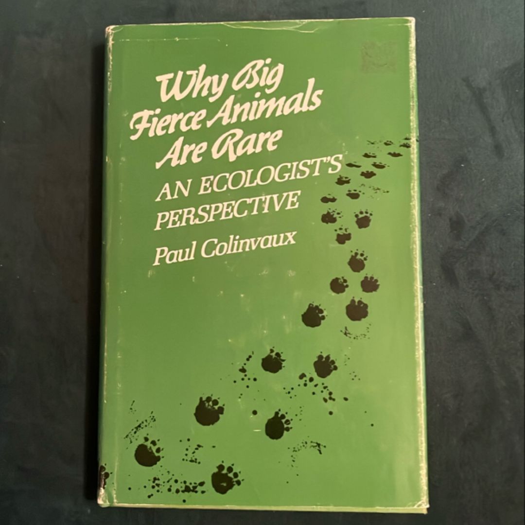 Why Big Animals Are Rare