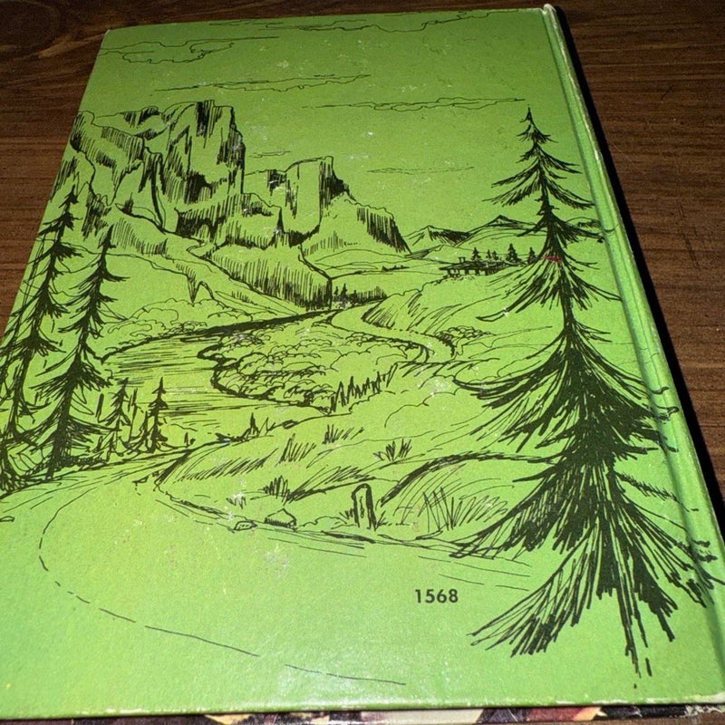 VINTAGE WHITMAN BONANZA KILLER LION HARDCOVER BOOK 1966