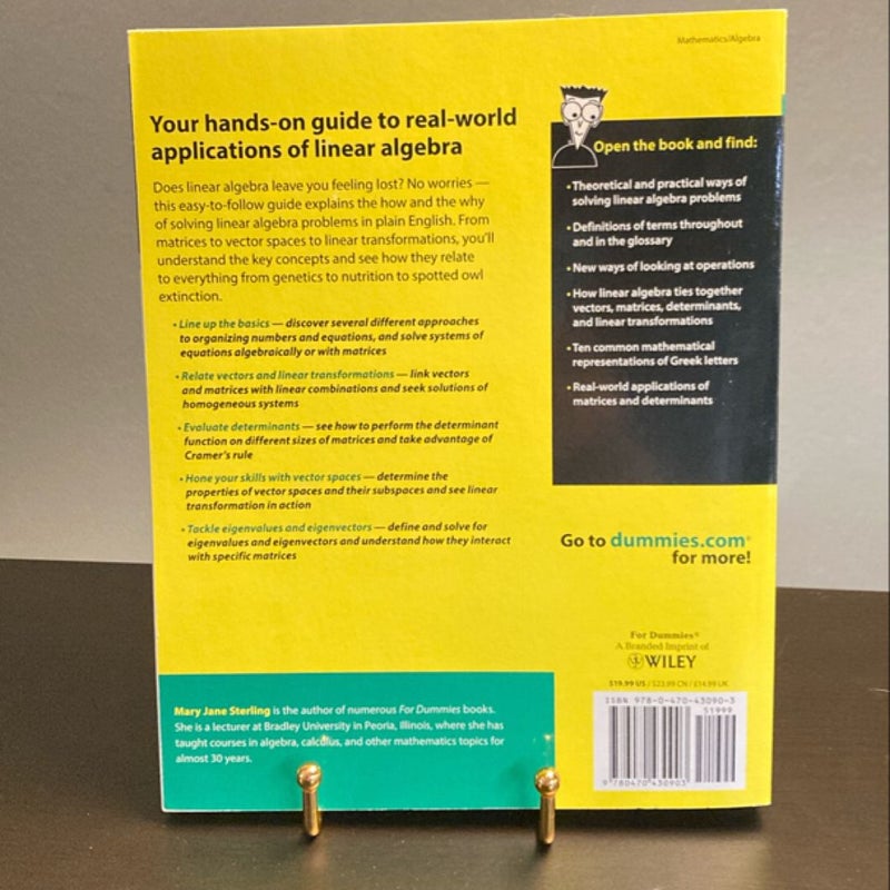 Linear Algebra for Dummies by Mary Jane Sterling