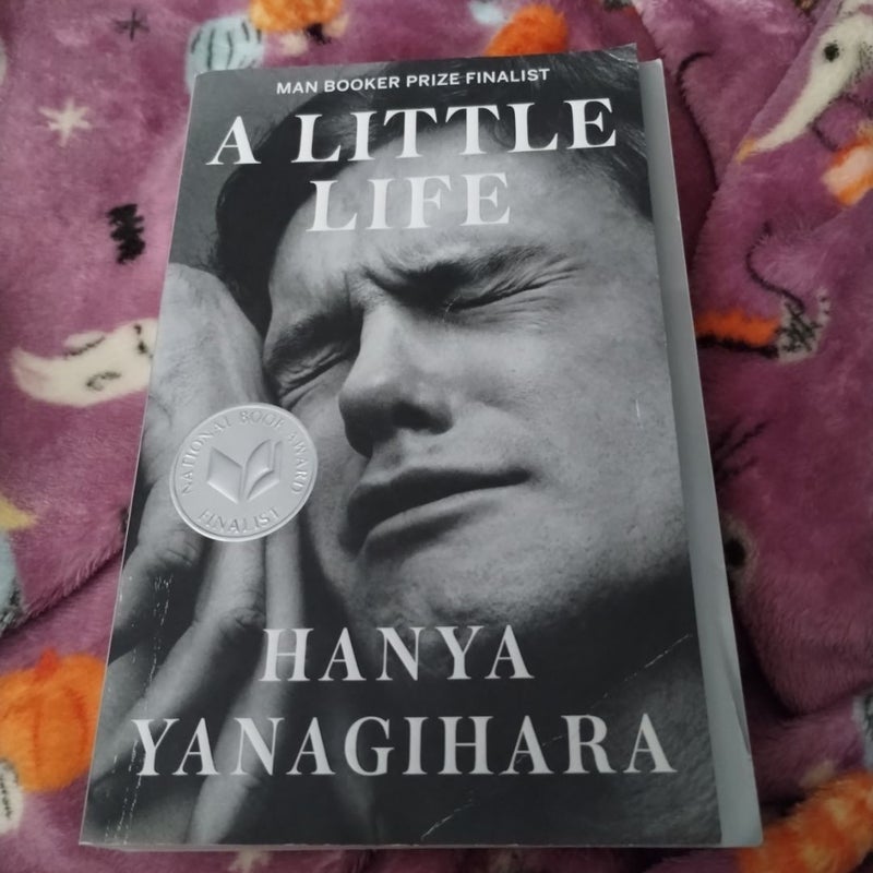 A Little Life