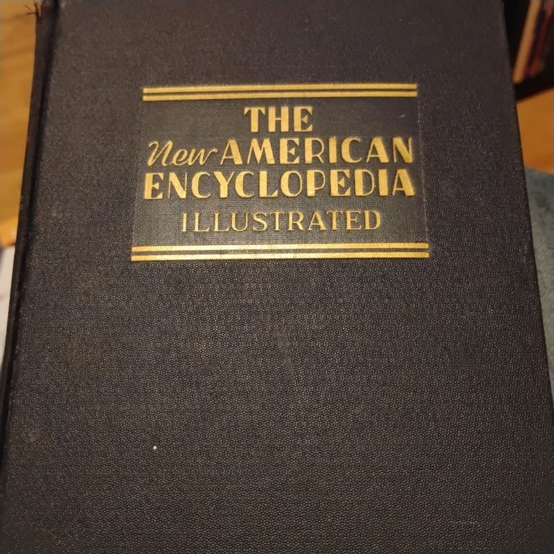 The New American Encyclopedia Illustrated 